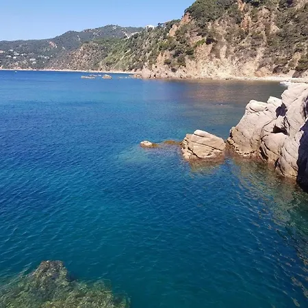 Senya Salvi 12 * Sant Feliu de Guixols